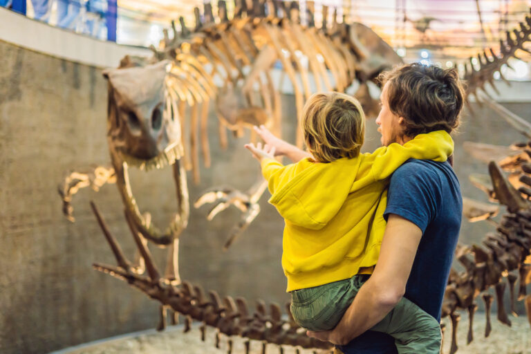 Educational Family Day Trips Across the Midwest