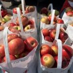 country applefest