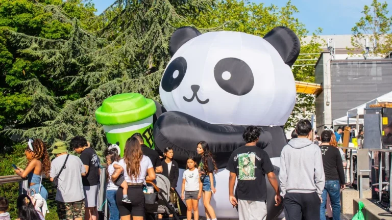 Panda Fest is Coming to Cincinnati