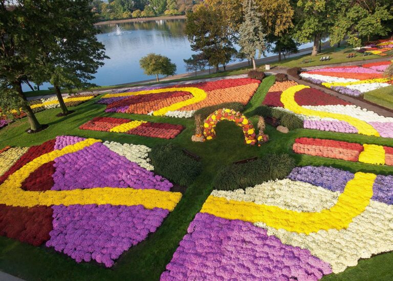 Worth-the-Drive: Barberton Mum Festival