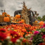 Antique truck decorated for fall festival