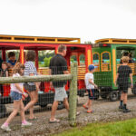 NEW Train (3)