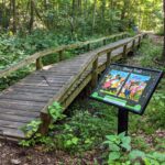 Story-Trail-at-Ridgewood-Park-scaled