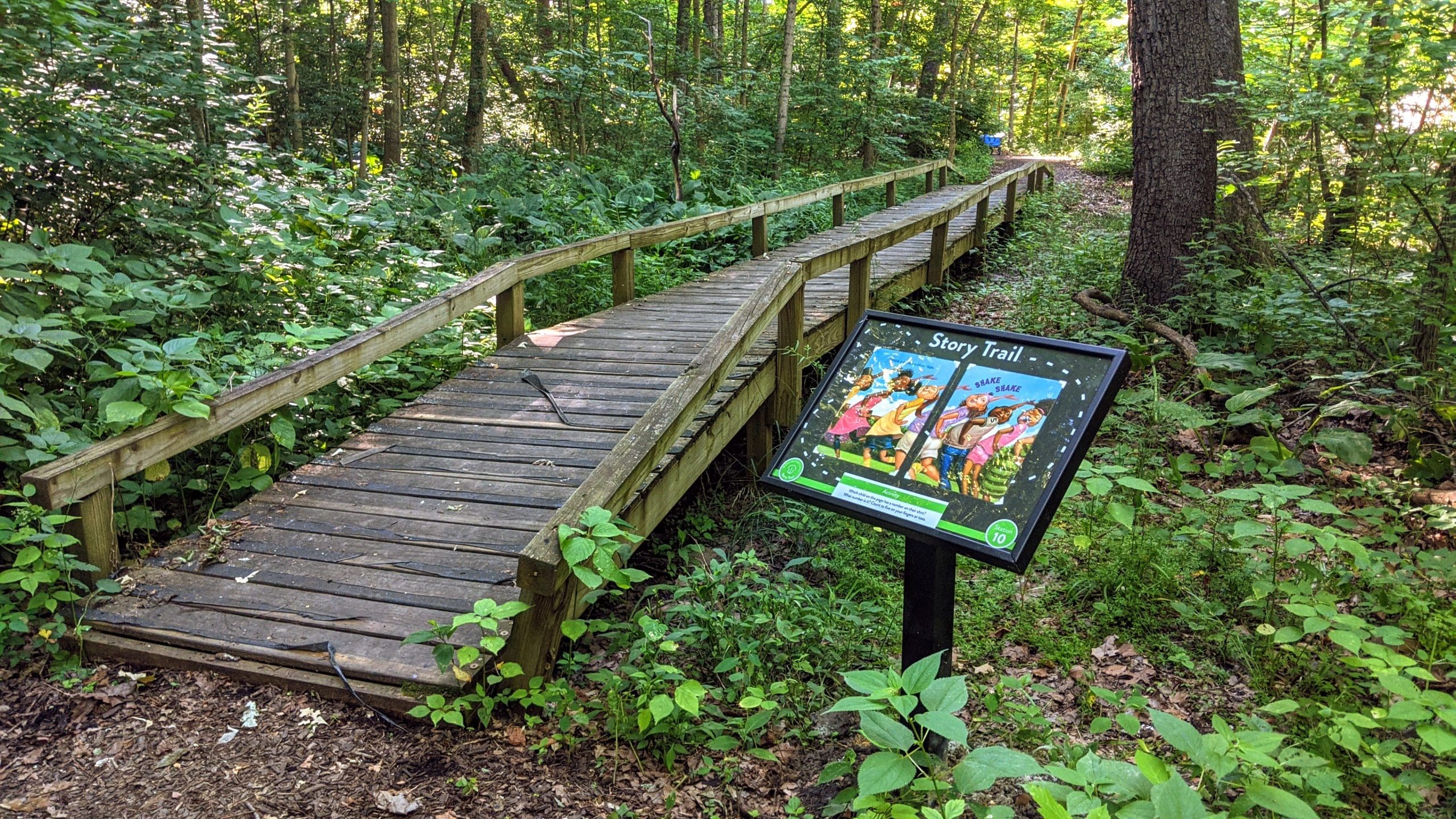 Story-Trail-at-Ridgewood-Park-scaled Story-Trail-at-Ridgewood-Park-scaled