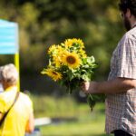 SunflowerFestival.Flowers