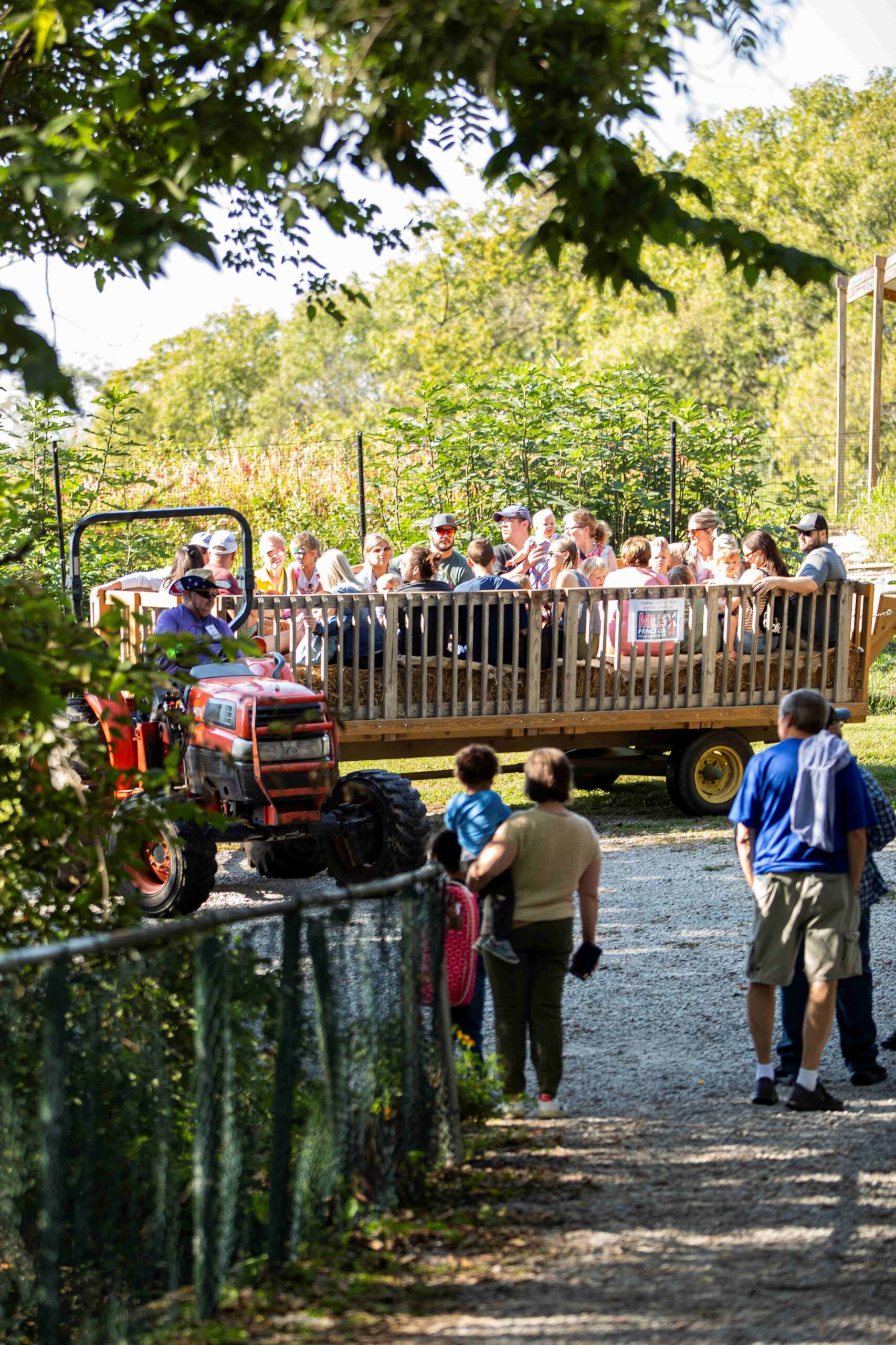 SunflowerFestival.Hayride