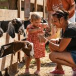 petting farm