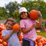 pumpkins (1)