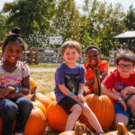 pumpkins (2)