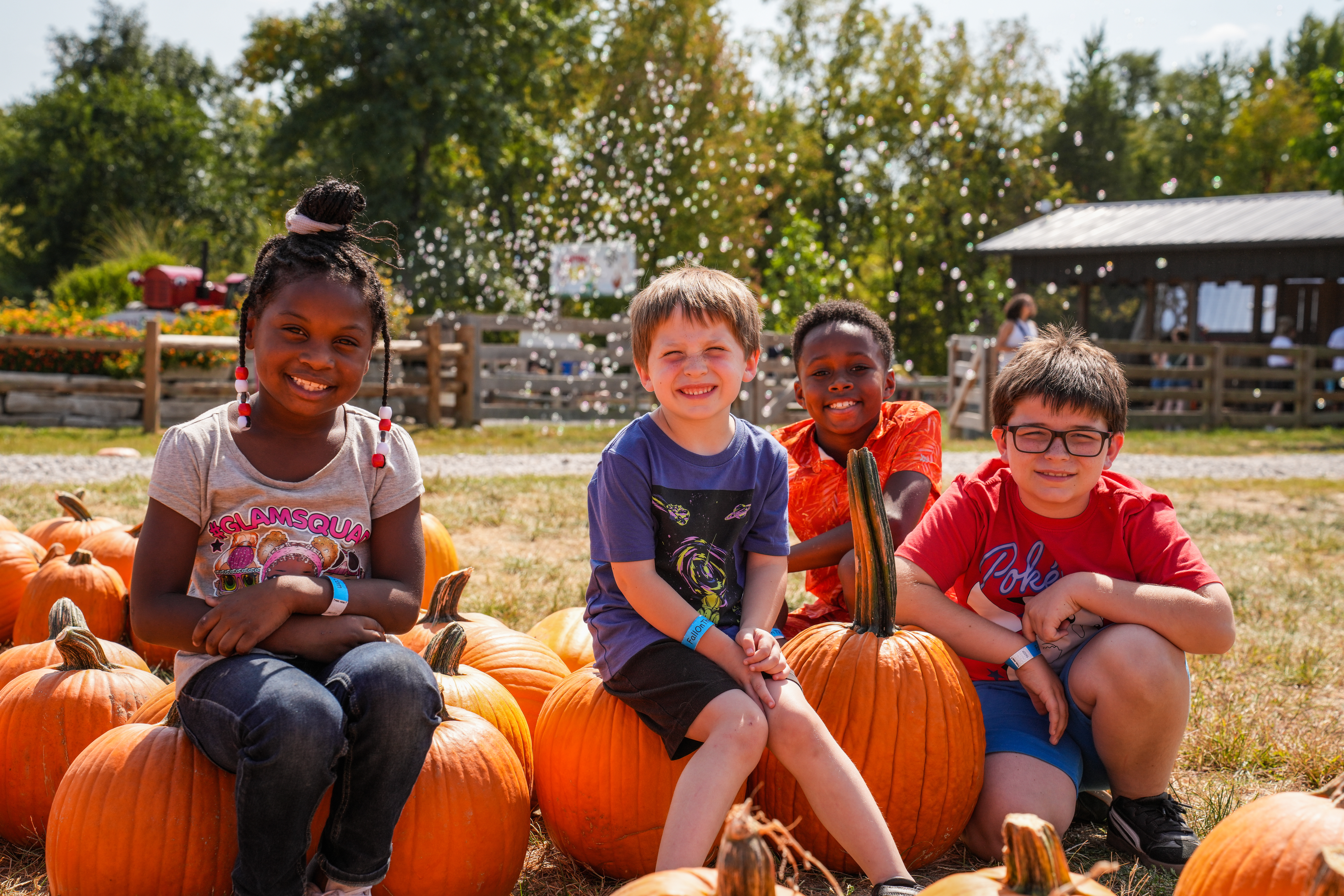 pumpkins (2)